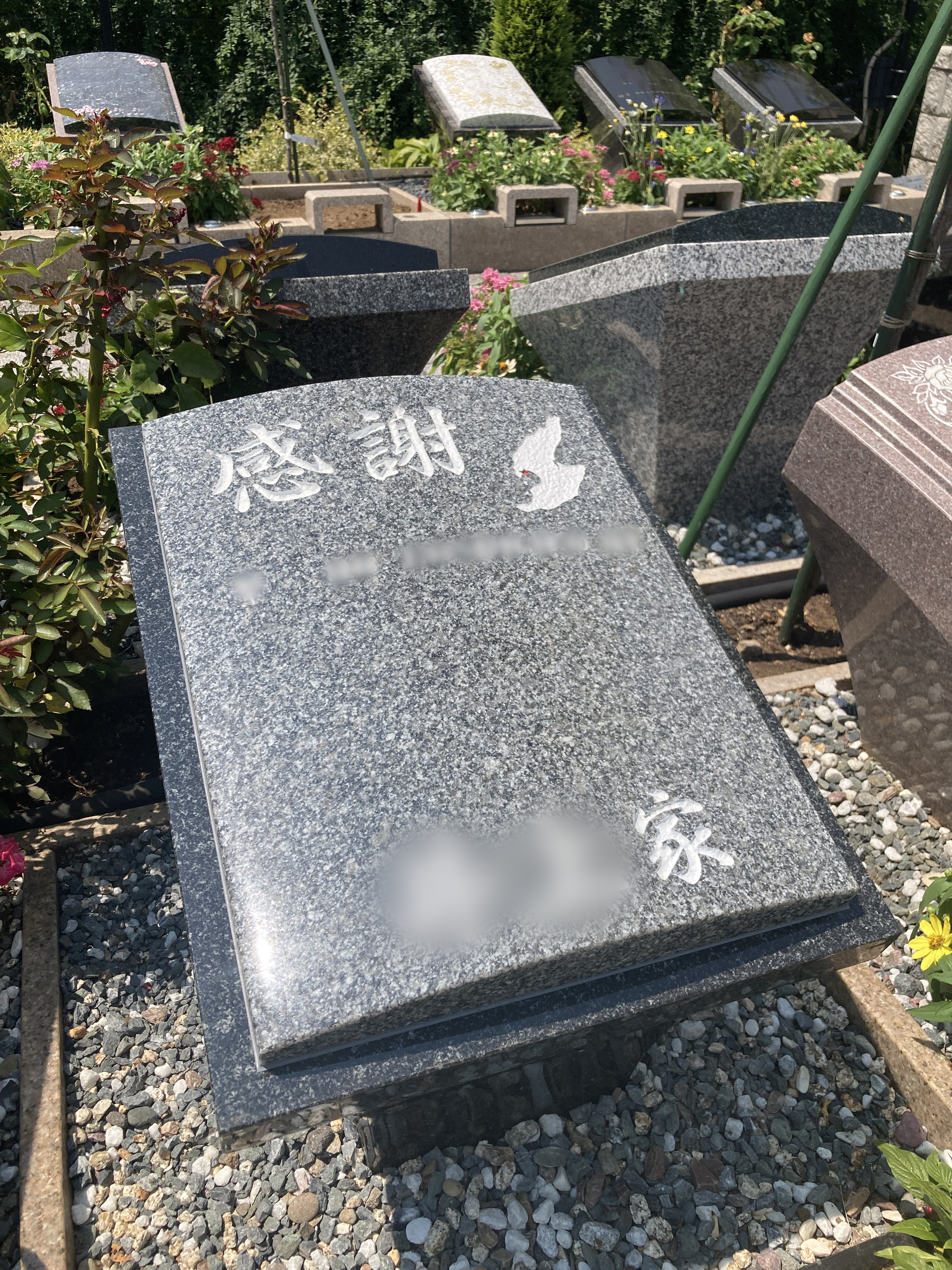 墓石写真